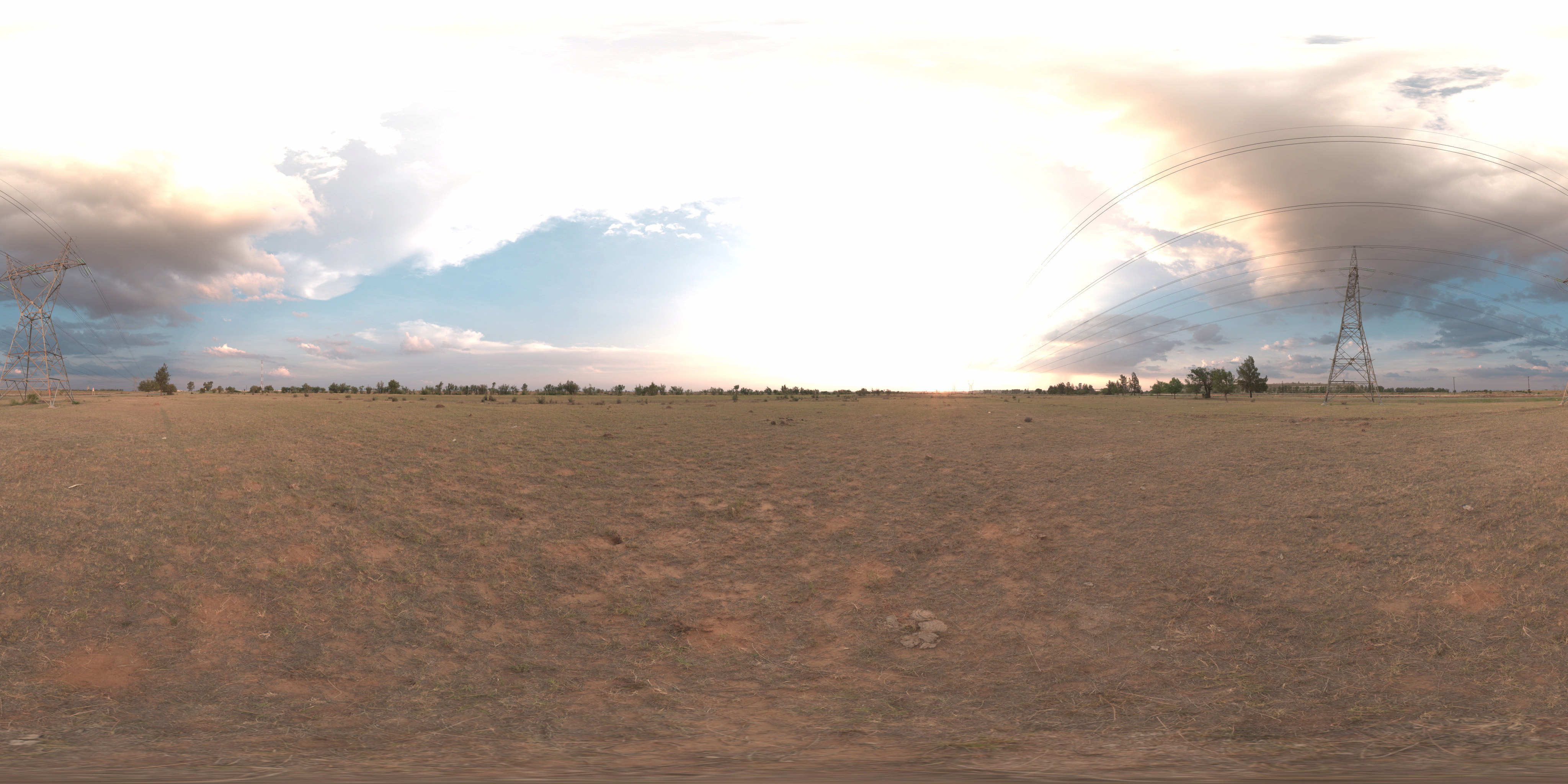 Campo